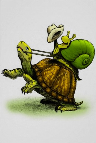 Attends, une tortue ça va super vite ! C’est l’escargot qui va pas vite en fait…