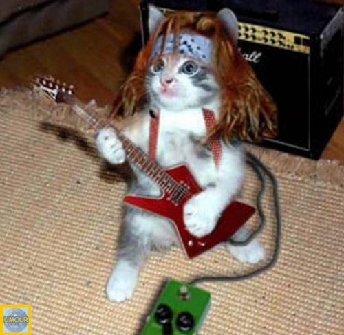 Lenny Kravitz viendra habillé en chat