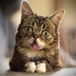 La petite playlist du mercredi midi