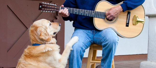 « Si j’avais un chien je lui apprendrais l’air guitar »