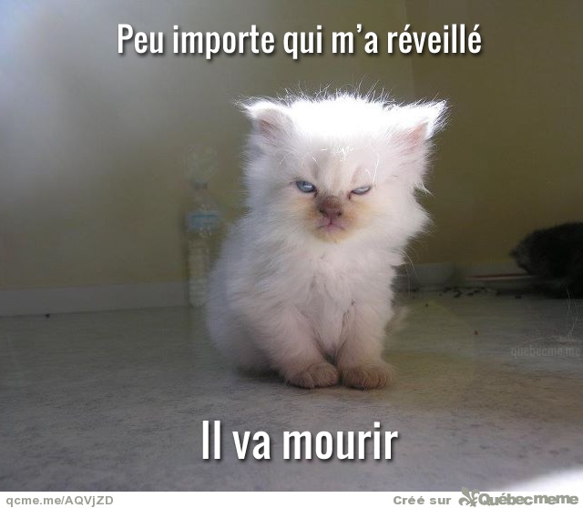 J’ai des problèmes de sommeil, je me réveille tous les jours pour aller bosser…
