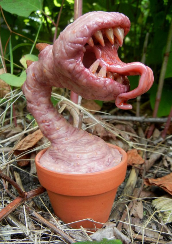Faudra lui dire que la plante boit pas autant que lui !