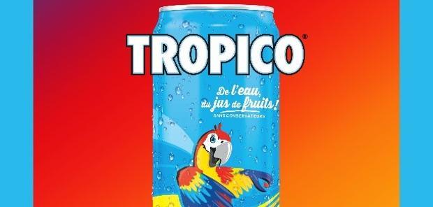 Les groupes de pop tropicale viennent toujours de villes où il pleut tout le temps.